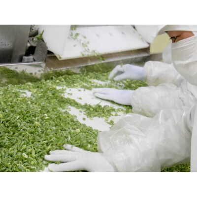 こと京都のきざみ九条ねぎ 1.2kg(50g×24p)【冷凍・カップ】