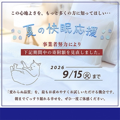 【夏の快眠応援】ひとつひとつ丁寧にまごころをこめて匠がつくった「エアープロテクション枕」