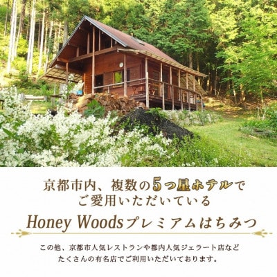 訳あり 京都・彼岸山 天然 はちみつ 百花蜜 500g×2本 ボトルタイプ≪Honey Woods≫