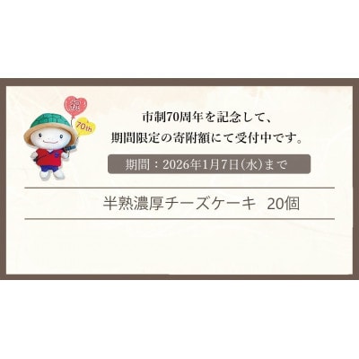 濃厚 半熟 スフレチーズケーキ『半熟チーズ工房』20個 冷蔵<京都 洋菓子館ベルジェノア>