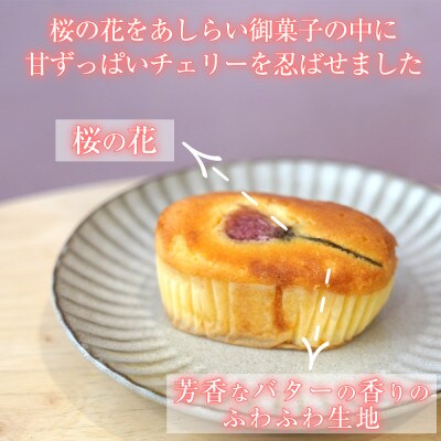 京都 洋菓子館ベルジェノアの桜坊ななたに 12個入り<期間限定>