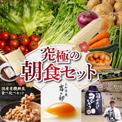 京都丹波 亀岡産 季節の旬の京野菜・こしひかり・卵・納豆など お楽しみ 詰め合わせセット