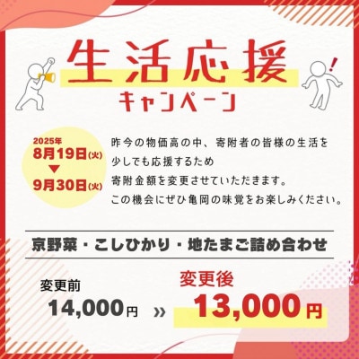 季節の旬の京野菜・こしひかり・地たまごの詰め合わせセット