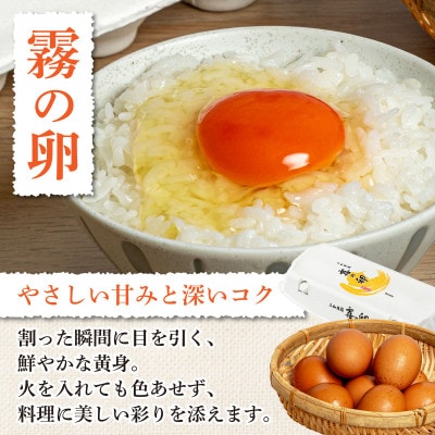 京都丹波 亀岡産 季節の旬の京野菜・こしひかり・卵・納豆など お楽しみ 詰め合わせセット