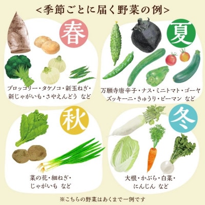 季節の旬の京野菜・こしひかり・地たまごの詰め合わせセット
