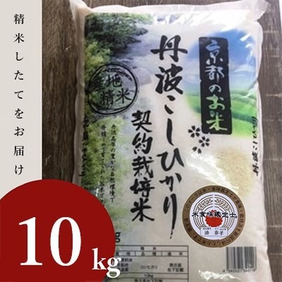 【令和7年産】京都丹波米 こしひかり 10kg