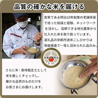 【令和6年産】 京都丹波米 こしひかり10kg