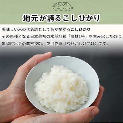 【令和5年産】訳あり 京都丹波米 こしひかり5kg【緊急支援】