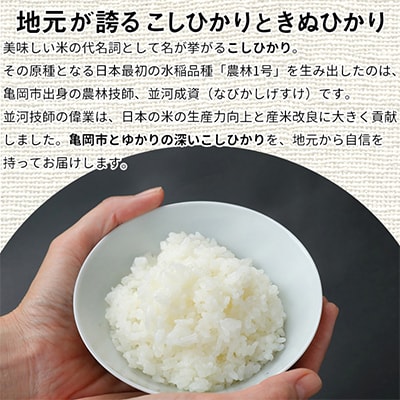 【令和7年産】京都丹波米 こしひかり・きぬひかり 各5kg 計10kg