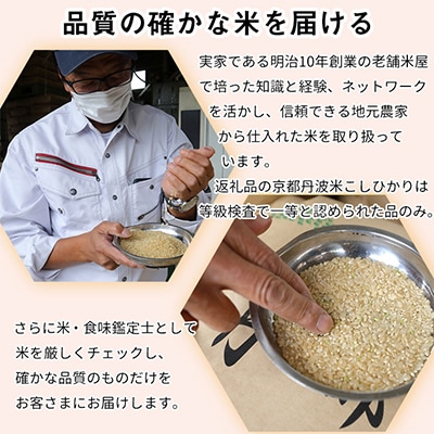 【令和7年産】京都丹波米 こしひかり・きぬひかり 各5kg 計10kg
