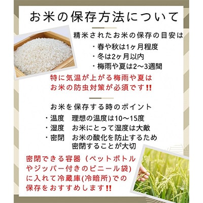 【令和7年産】京都丹波米 こしひかり・きぬひかり 各5kg 計10kg