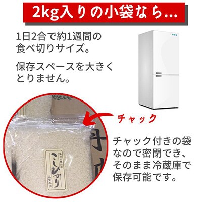 【令和6年産】京都丹波米 こしひかり 計6kg(2kg×3袋)