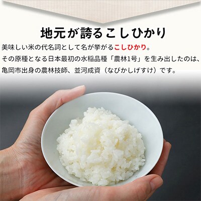 【令和6年産】京都丹波米 こしひかり 計6kg(2kg×3袋)