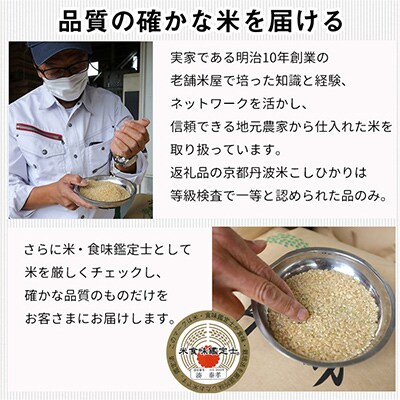【令和6年産】京都丹波米 こしひかり 計6kg(2kg×3袋)