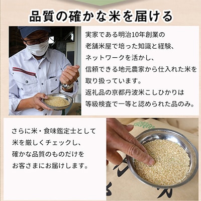 【毎月定期便】訳あり 京都丹波米 きぬひかり 5kg全12回