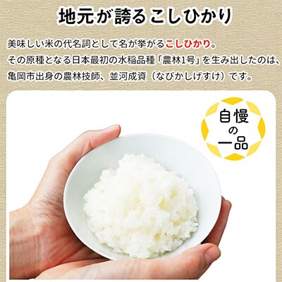【毎月定期便】訳あり 京都丹波米 こしひかり 10kg全3回