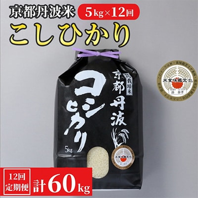 【毎月定期便】訳あり 京都丹波米 こしひかり 5kg全12回