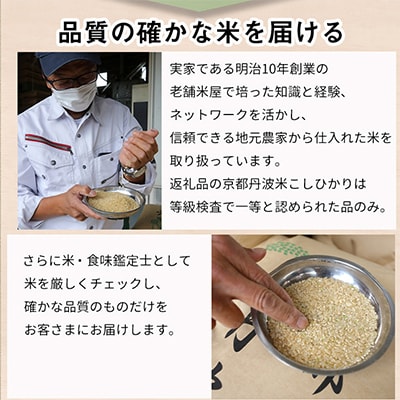 【毎月定期便】訳あり 京都丹波米 こしひかり 5kg全12回
