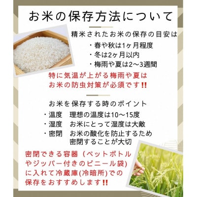 【毎月定期便】京都丹波米 こしひかり5kg・きぬひかり5kg 食べ比べ全6回