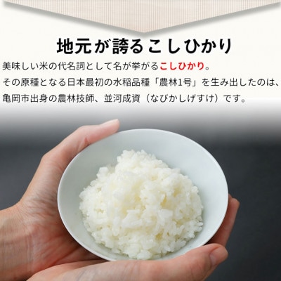 【毎月定期便】京都丹波米 こしひかり 6kg(2kg×3袋)全6回