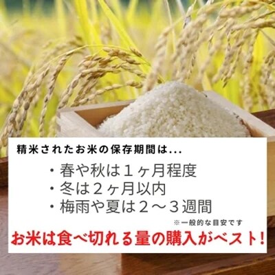 2022年10月発送開始『定期便』 京都丹波米 こしひかり 2kg×3袋 全3回