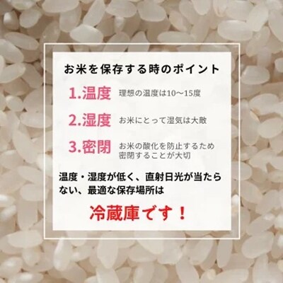 2022年11月発送開始『定期便』 京都丹波米 こしひかり 2kg×3袋 全6回