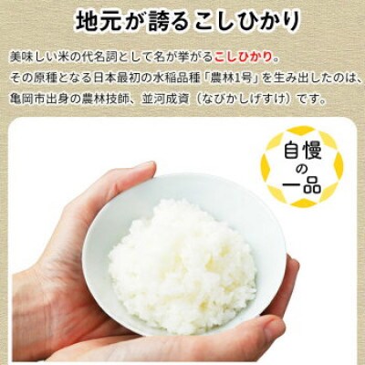 2022年10月発送開始『定期便』【訳あり】毎月美味しい!契約栽培米 丹波こしひかり5kg 全8回