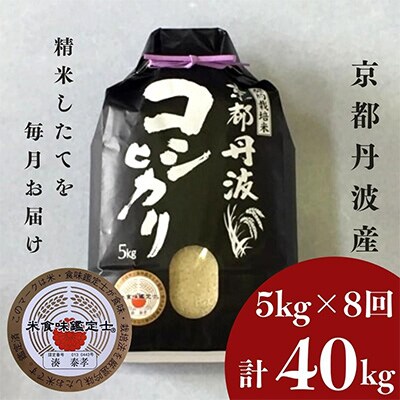 2022年11月発送開始『定期便』【訳あり】契約栽培米 丹波こしひかり 5kg全8回