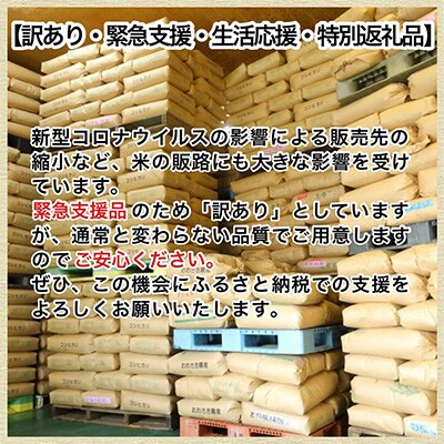 2022年11月発送開始『定期便』【訳あり】契約栽培米 丹波こしひかり 5kg全8回