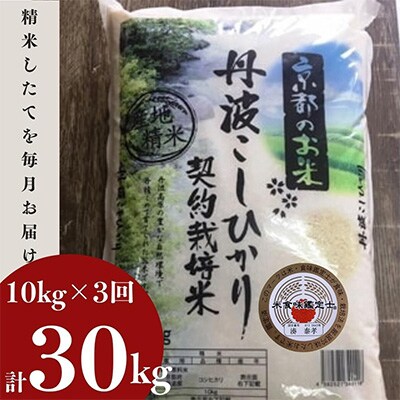 2023年9月発送開始『定期便』【訳あり】契約栽培米 丹波こしひかり 10kg全3回