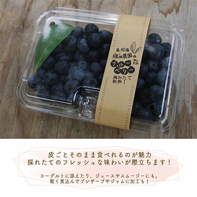 朝摘み完熟ブルーベリー生果実　1kg・栽培期間中農薬不使用【すだ農園】※7月中旬頃より順次発送