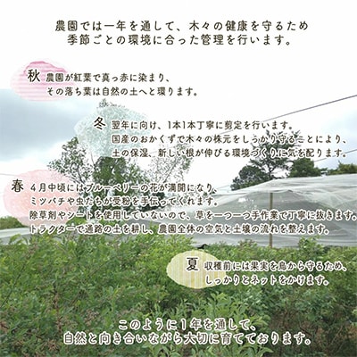 朝摘み完熟ブルーベリー生果実　1kg・栽培期間中農薬不使用【すだ農園】※7月中旬頃より順次発送