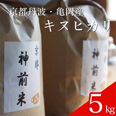 京都・神前米　キヌヒカリ　5kg ☆精米したてをお届け