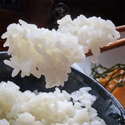 京都・神前米　キヌヒカリ　5kg ☆精米したてをお届け