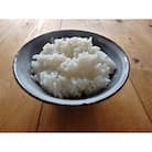【令和7年産】新米 先行予約 京都・神前米 キヌヒカリ 10kg※2025年9月下旬以降順次発送