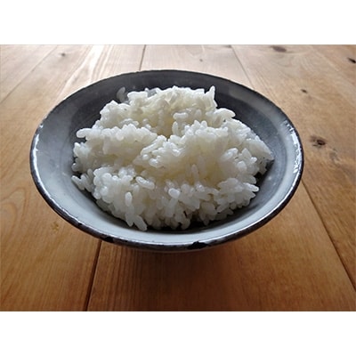 京都・神前米　キヌヒカリ　10kg ☆精米したてをお届け