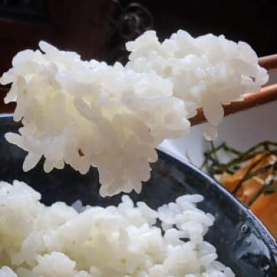 【毎月定期便】京都・神前米 キヌヒカリ 10kg×全3回