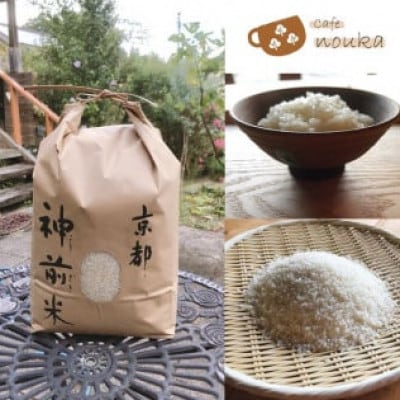 【毎月定期便】京都・神前米 キヌヒカリ 10kg×全3回