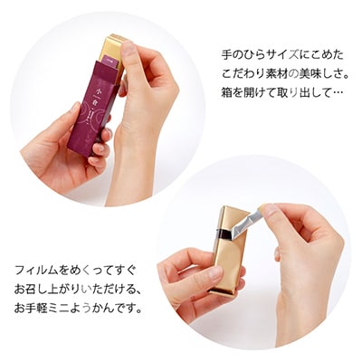 京菓匠 鶴屋吉信の鶴屋吉信ようかん10本入