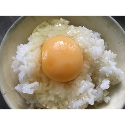 369商店の【京都丹波産旬野菜セットデラックス】栽培期間中農薬・化学肥料不使用