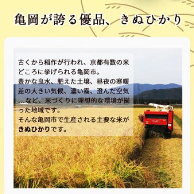 【令和6年産】無洗米 京都丹波産 キヌヒカリ 10kg(5kg×2袋)※お申込後精米
