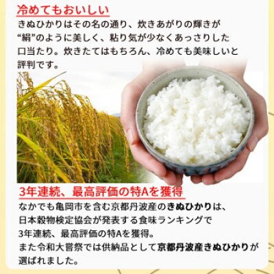 【令和6年産】無洗米 京都丹波産 キヌヒカリ 10kg(5kg×2袋)※お申込後精米