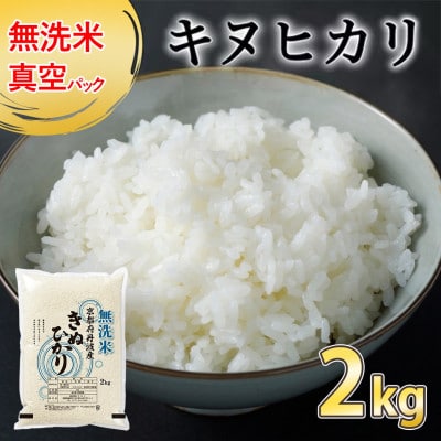 【令和7年産】無洗米 真空パック 京都丹波産 キヌヒカリ 2kg×1袋※お申込後精米