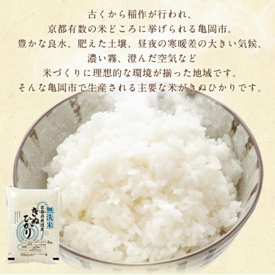 【毎月定期便】無洗米 京都丹波産 キヌヒカリ 10kg(2kg×5袋)真空パック全3回