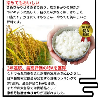 【毎月定期便】無洗米 京都丹波産 キヌヒカリ 10kg(2kg×5袋)真空パック全3回