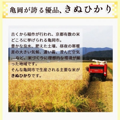 【毎月定期便】無洗米 京都丹波産 キヌヒカリ 5kg※お申込後精米　全6回