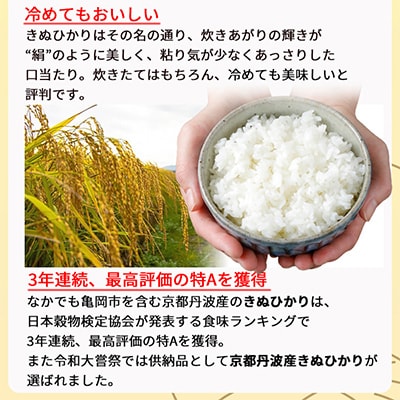 【毎月定期便】無洗米 京都丹波産 キヌヒカリ 5kg全6回