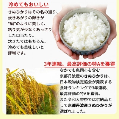 【毎月定期便】無洗米 京都丹波産 キヌヒカリ 5kg※お申込後精米　全6回