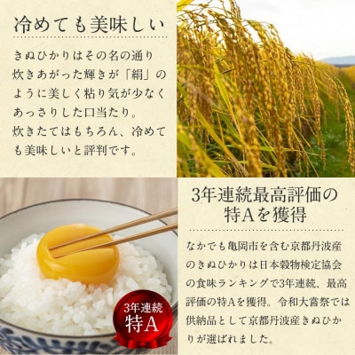 【毎月定期便】無洗米 真空パック 京都丹波産キヌヒカリ10kg(2kg×5袋)※お申込後精米全12回