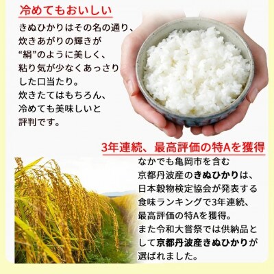 【毎月定期便】無洗米 京都丹波産 キヌヒカリ 10kg(5kg×2袋)※お申込後精米全6回